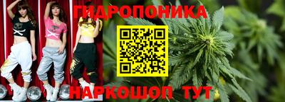 амф Ливны