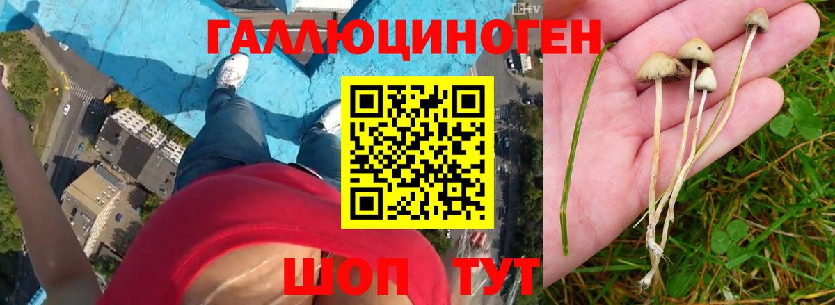 Галлюциногенные грибы ЛСД Долгопрудный